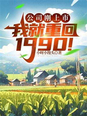 公司刚上市,我就重回1990!