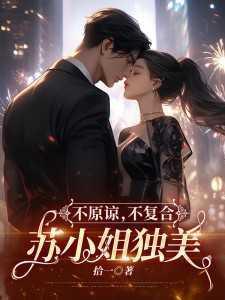 不原谅,不复合,苏小姐独美老书虫推荐
