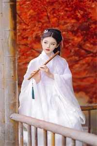 唐僧朱佩奇