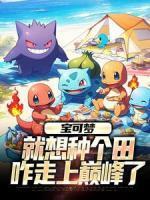 陈时叶伊布