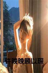 许晚晚顾以琛