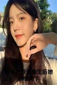 朝安端木双墨容