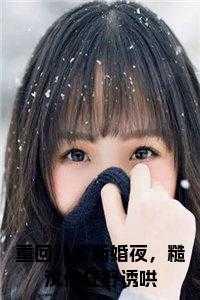 宋家，傅哥，赵志