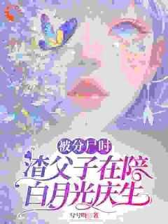 沈栀陆云深南婉月