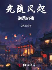 光随风起,逆风向夜