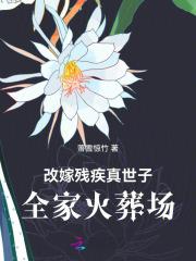 改嫁残疾真世子,全家火葬场
