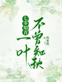 七零知青,一叶不曾知秋
