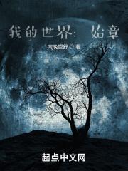 我的世界:始章