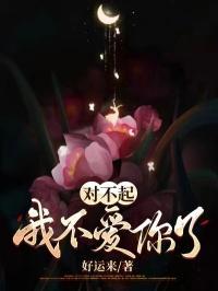 对不起,我不爱你了