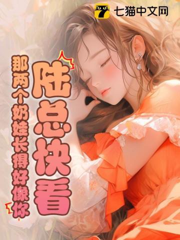 陆总快看!那两个奶娃长得好像你