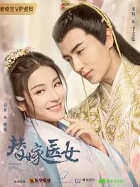 替嫁公主(替嫁医女原著小说)
