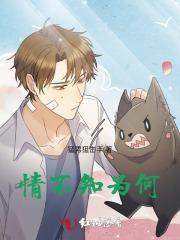 情不知为何
