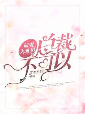 前妻太难追:总裁不可以