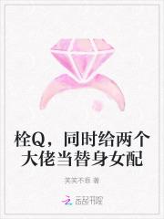 栓Q,同时给两个大佬当替身女配
