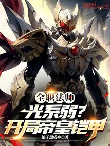 全职法师:光系弱?开局帝皇铠甲