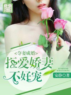 夺妻成婚:拒爱娇妻不好宠
