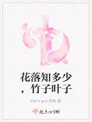 花落知多少,竹子叶子