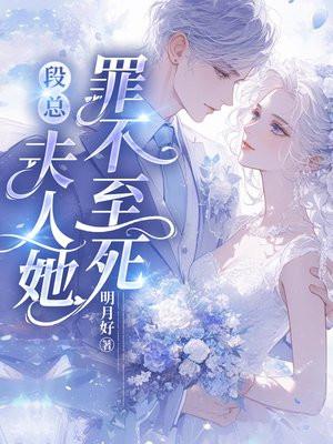 段总,夫人她罪不至死