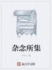 杂念所集