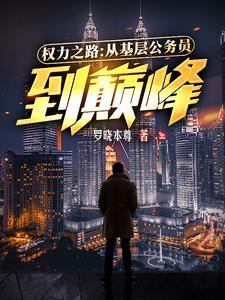 权力之路:从基层公务员到巅峰