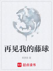 再见我的藤球