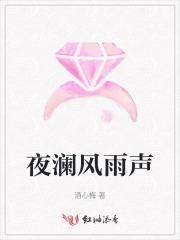 夜澜风雨声