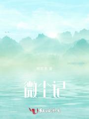 微尘记
