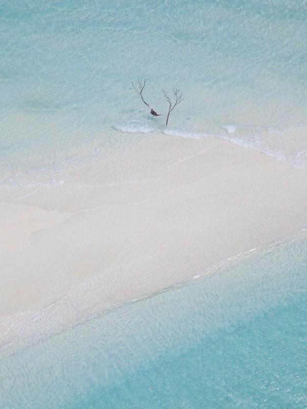 内卷系统被迫打工后