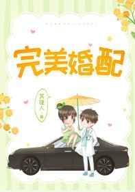 完美婚配