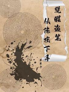 觉醒盗笔，从陈皮下手