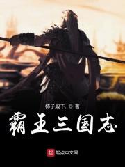 霸王三国志