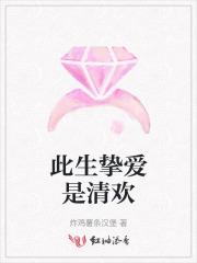 此生挚爱是清欢