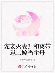 宠妾灭妻?和离带崽二嫁当主母