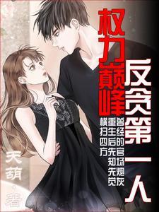 权力巅峰:反贪第一人