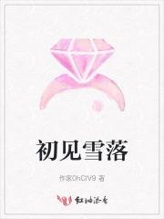 初见雪落