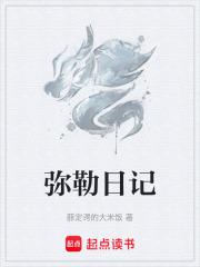 弥勒日记