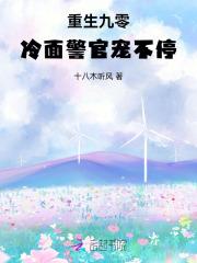 重生九零，冷面警官宠不停