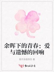 余晖下的青春：爱与遗憾的回响