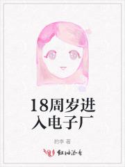 18周岁进入电子厂