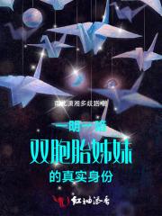 一明一暗：双胞胎姊妹的真实身份