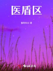 医盾区