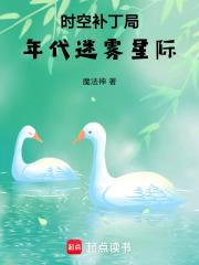 时空补丁局：年代，迷雾，星际