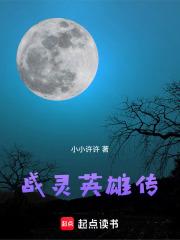战灵英雄传