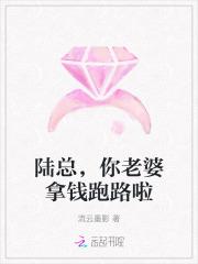 陆总,你老婆拿钱跑路啦