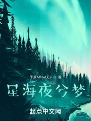 星海夜兮梦