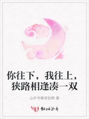 你往下，我往上，狭路相逢凑一双