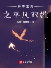 精灵宝可梦：平凡双雄