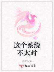 这个系统不太对
