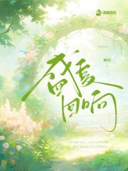 盛夏回响
