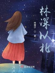 林深以北
